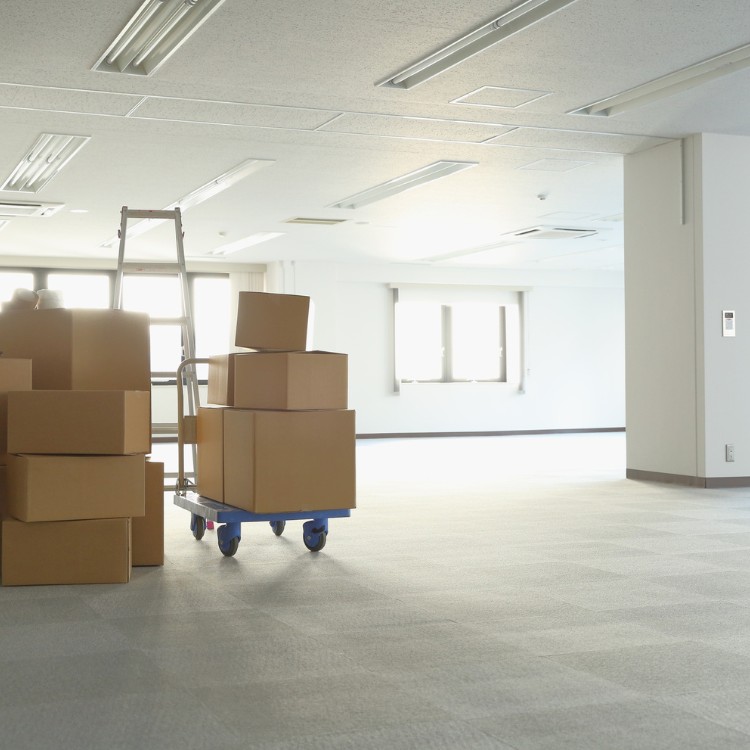 Junk Removal in San Diego, CA