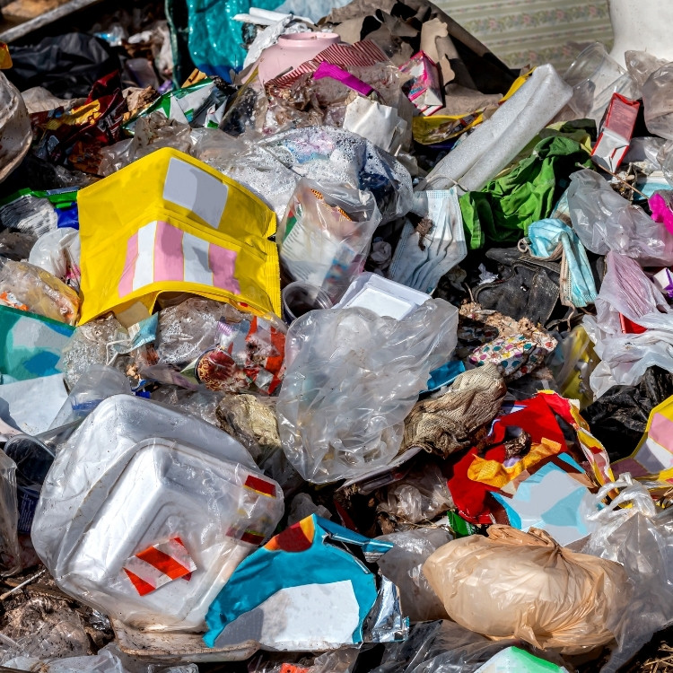Junk Removal in San Diego, CA